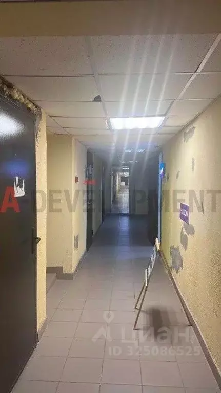 Офис в Татарстан, Лаишевский район, Столбищенское с/пос, с. Усады ... - Фото 1