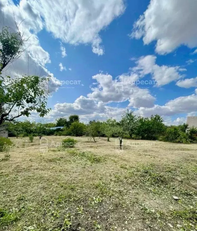 Участок в Волгоградская область, Городищенский район, Новорогачинское ... - Фото 2