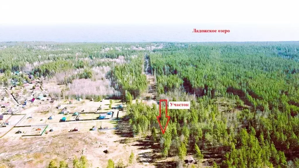 Участок в Ларионовское сельское поселение (9 м) - Фото 0