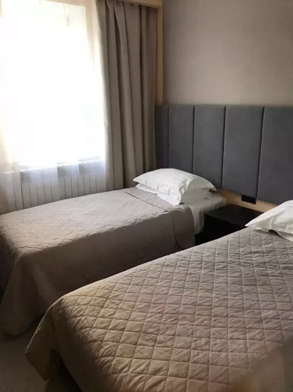 Комната Приморский край, Владивосток Посьетская ул., 23А (20.0 м) - Фото 1