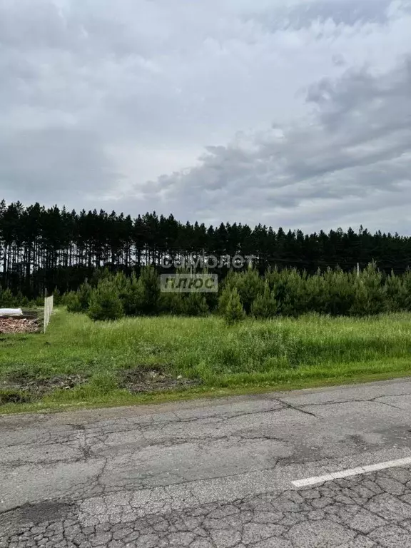 Участок в Омская область, Омский район, с. Красноярка ул. Ленина (10.0 ... - Фото 0