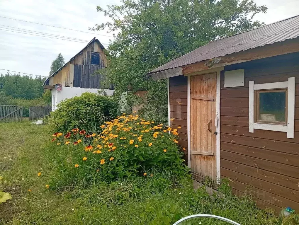 Дом в Новосибирская область, Бердск Росинка СНТ, ул. 18-я, 34 (15 м) - Фото 0