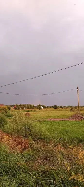 Участок в Новгородская область, Старорусский район, Наговское с/пос, ... - Фото 1