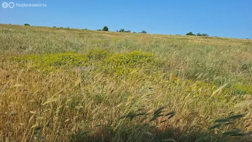 Участок в Барнаул, микрорайон Авиатор (4 м) - Фото 0