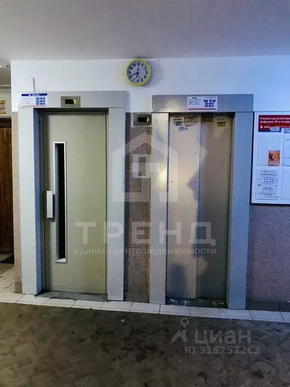 1-к кв. Санкт-Петербург ул. Ушинского, 7К2 (32.4 м) - Фото 0