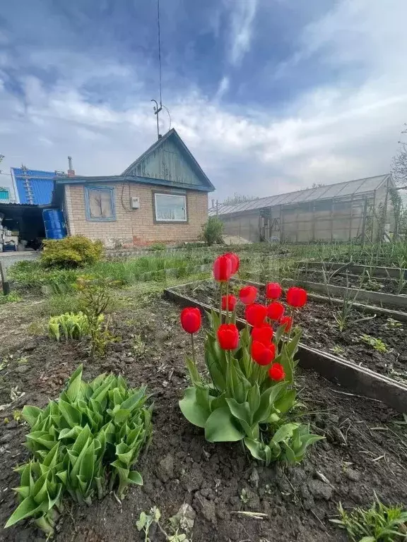 Дом в Челябинская область, Челябинск Металлист-2 СНТ, 549 (20 м) - Фото 0