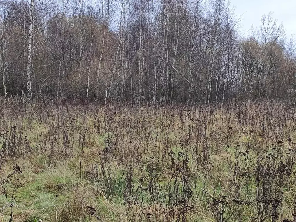 Участок в Московская область, Раменский муниципальный округ, д. ... - Фото 1