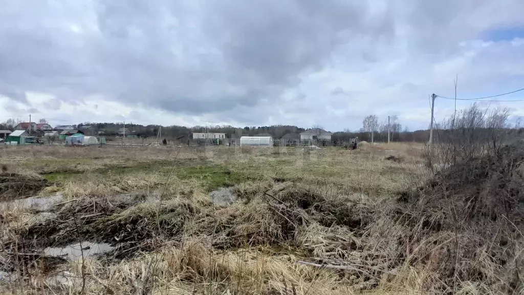 Участок в Нижегородская область, Выкса городской округ, Шиморское рп ... - Фото 1