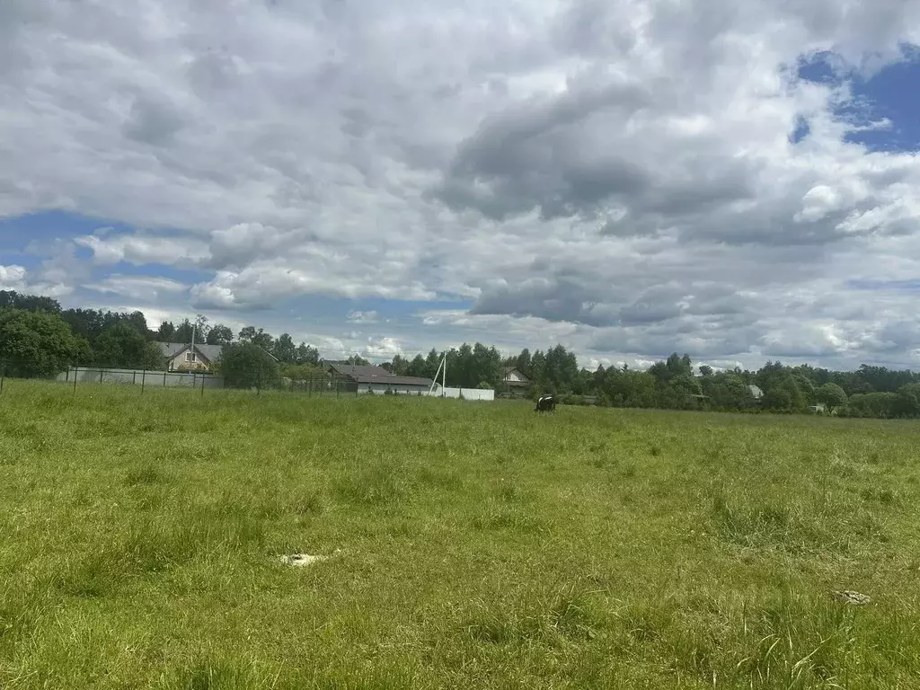 Участок в Московская область, Рузский муниципальный округ, д. ... - Фото 1