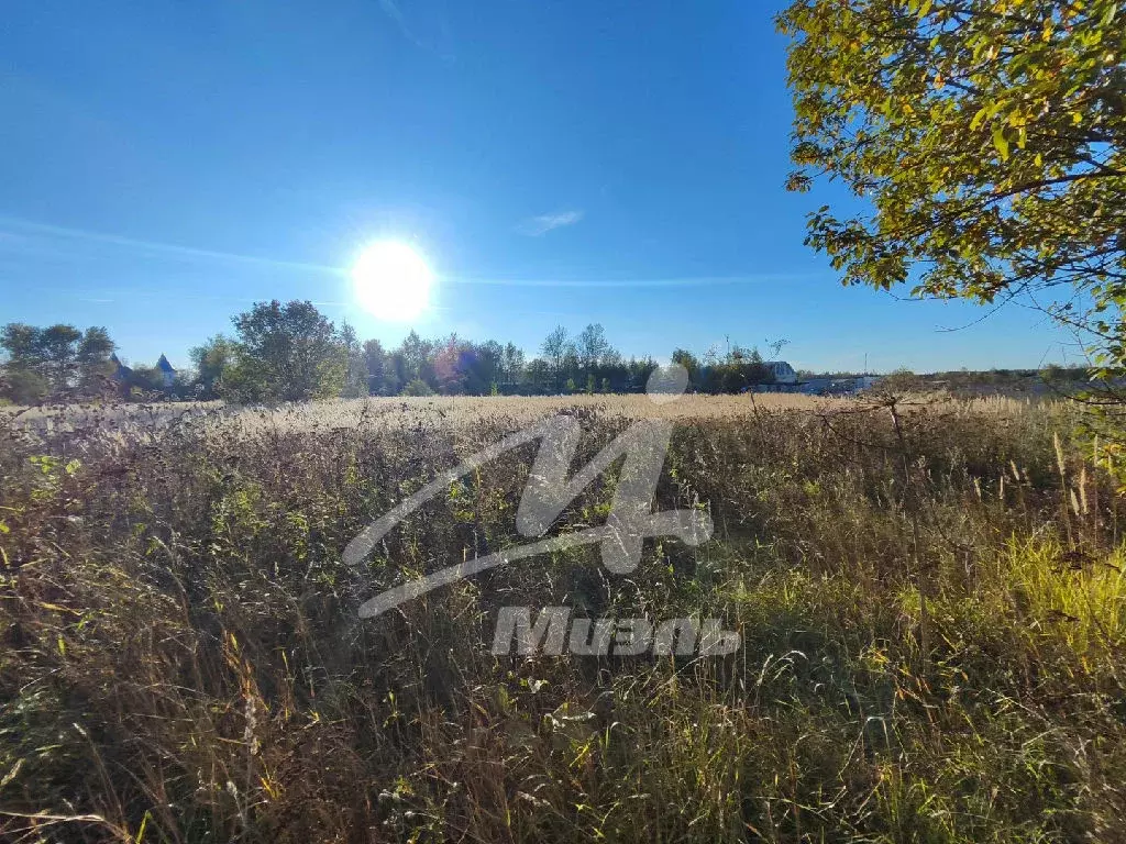 Продается участок в д. Бабаиха - Фото 2