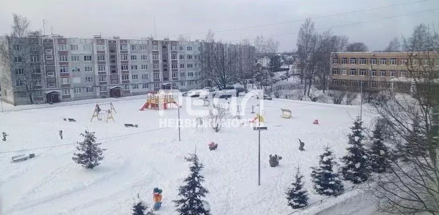 3-к кв. Ленинградская область, Гатчинский муниципальный округ, д. ... - Фото 1