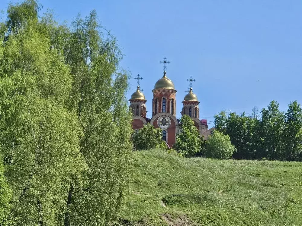 Участок в Московская область, Домодедово городской округ, с. ... - Фото 2