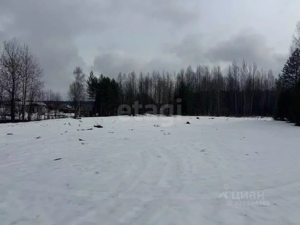 Участок в Кировская область, Кирово-Чепецкий район, Пасеговское с/пос, ... - Фото 1