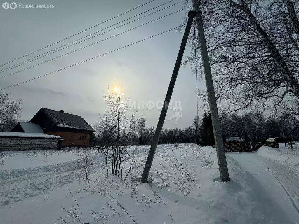 Участок в село Боровое, Кленовая улица (15 м) - Фото 0