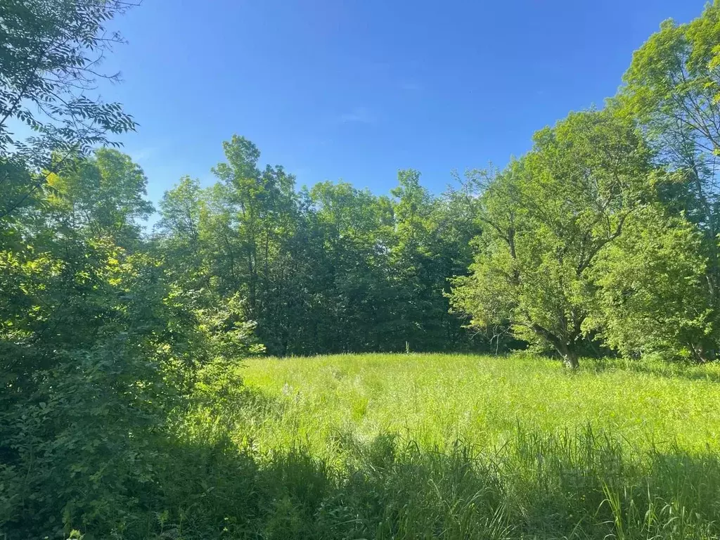 Участок в Адыгея, Майкопский район, Кужорское с/пос  (15.0 сот.) - Фото 1