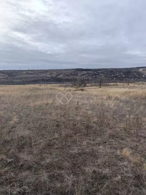 Участок в Волгоградская область, Городищенский район, Царицынское ... - Фото 0