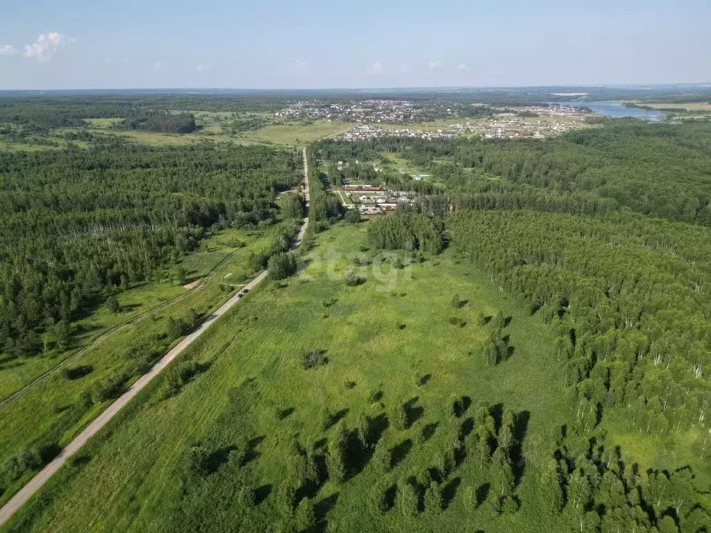 Участок в Нижегородская область, Богородский муниципальный округ, д. ... - Фото 1