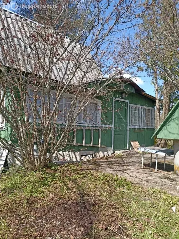 Дом в Мшинское сельское поселение, садоводческий массив Мшинская, ... - Фото 1
