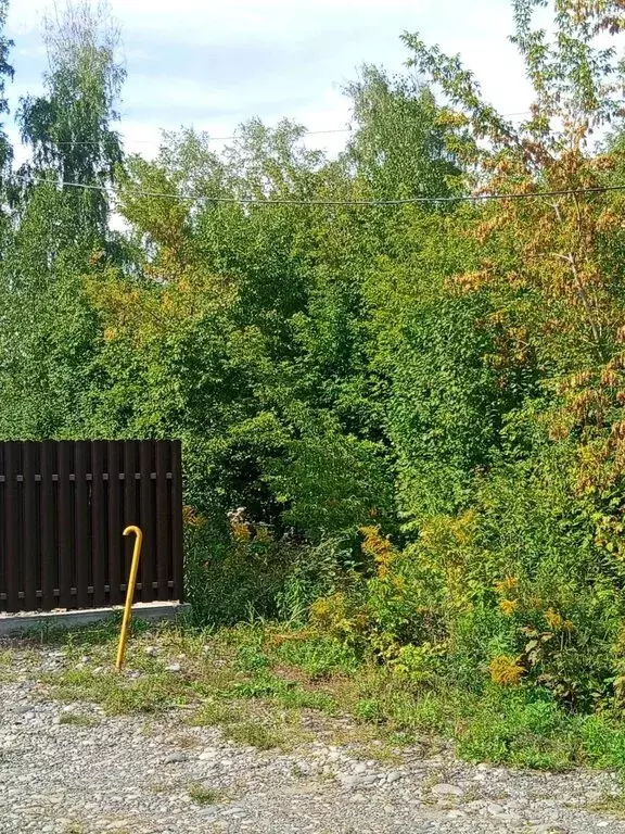Участок в село Майма, улица Д. Климкина (10 м) - Фото 1