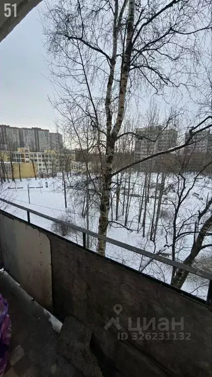 1-к кв. Санкт-Петербург Витебский просп., 53К4 (31.2 м) - Фото 2