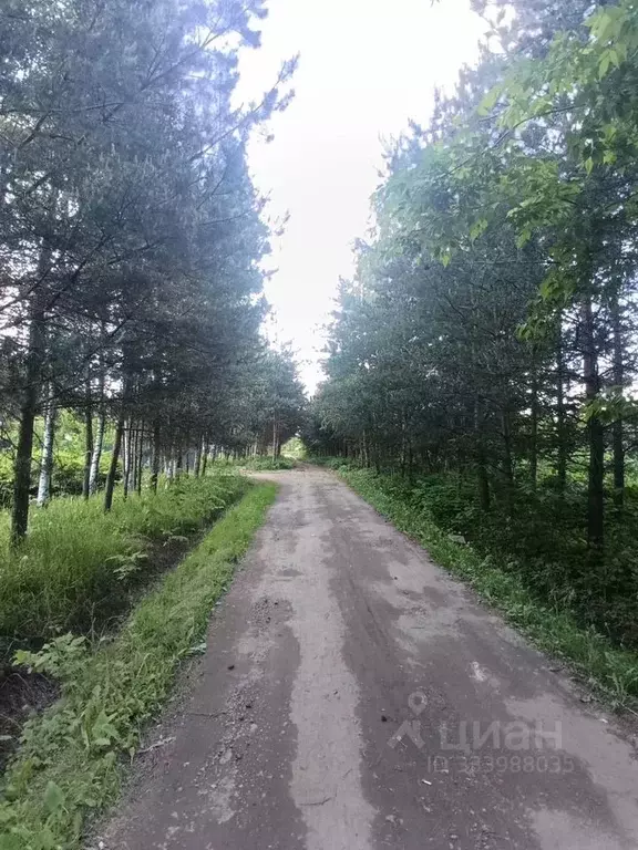 Участок в Московская область, Пушкино Новая Деревня мкр,  (8.0 сот.) - Фото 1
