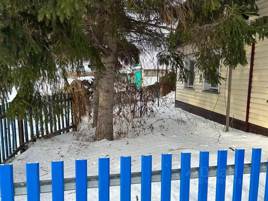 Дом в Татарстан, Алексеевское пгт ул. Калинина, 14 (30 м) - Фото 1