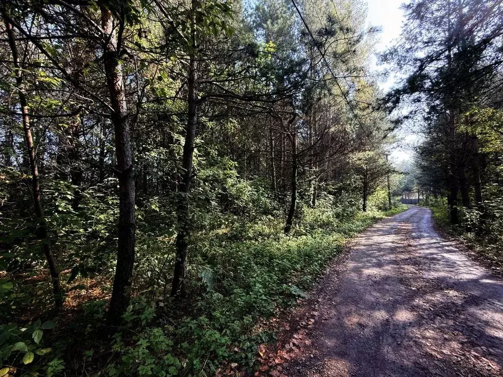 Участок в Кемеровская область, Новокузнецк Робинзон СНТ,  (20.0 сот.) - Фото 2