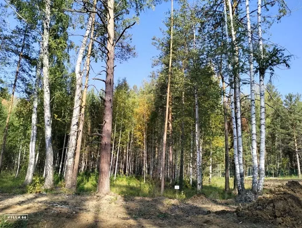 Участок в Свердловская область, Сысертский городской округ, пос. ... - Фото 0