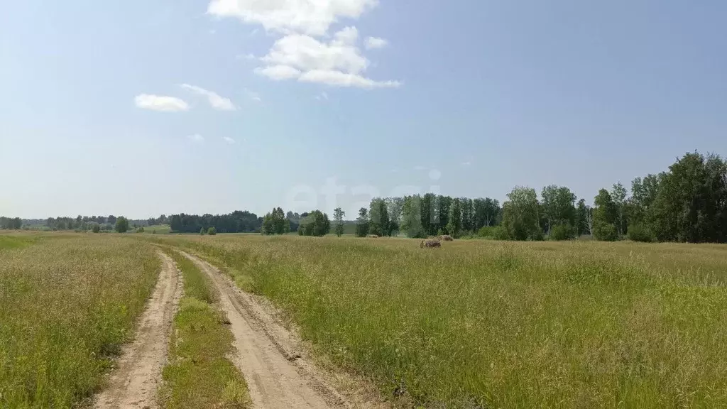 Участок в Новосибирская область, Новосибирск  (1140.0 сот.) - Фото 0