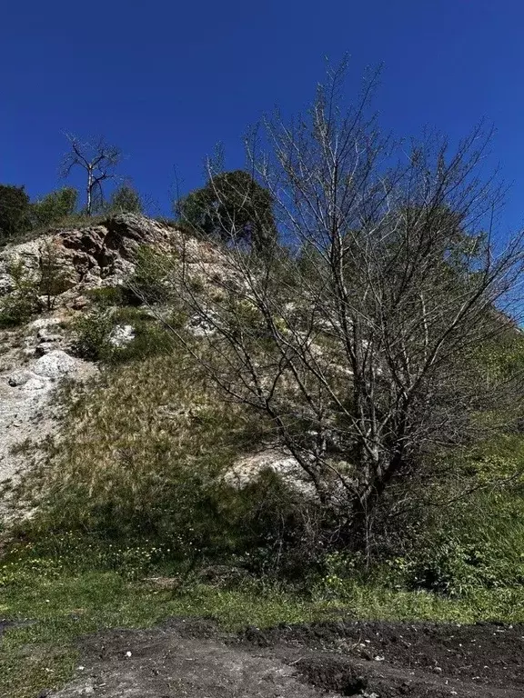 Дом в Башкортостан, Кармаскалинский район, Старомусинский сельсовет, ... - Фото 0