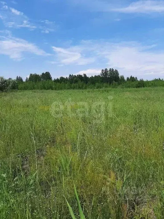 Участок в Тюменская область, Тюмень  (6.0 сот.) - Фото 1