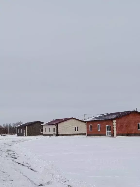 Дом в Омская область, Омский район, Магистральное с/пос, с. Ребровка  ... - Фото 2