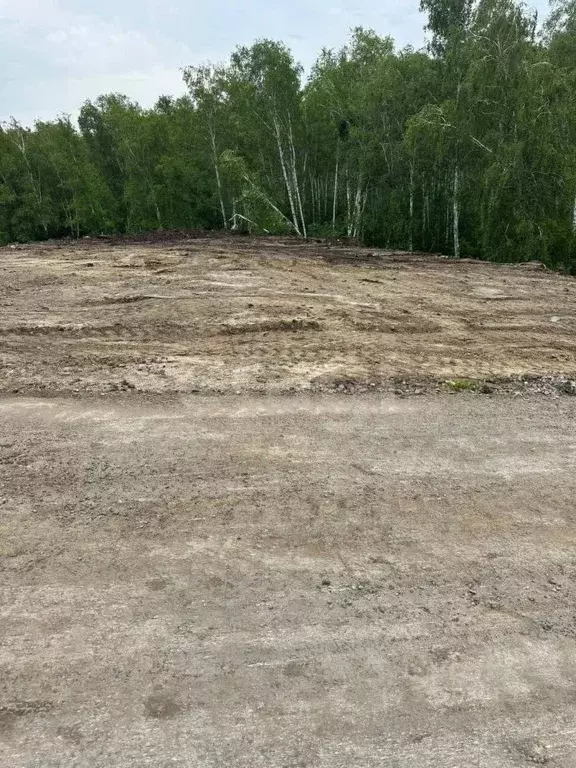 Участок в Новосибирская область, Новосибирский район, Каменский ... - Фото 1