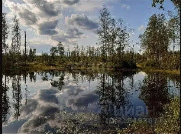 Участок в Ленинградская область, Всеволожский район, Агалатовское ... - Фото 0