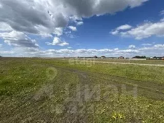 Участок в Мордовия, Лямбирский район, Берсеневское с/пос, пос. ... - Фото 1