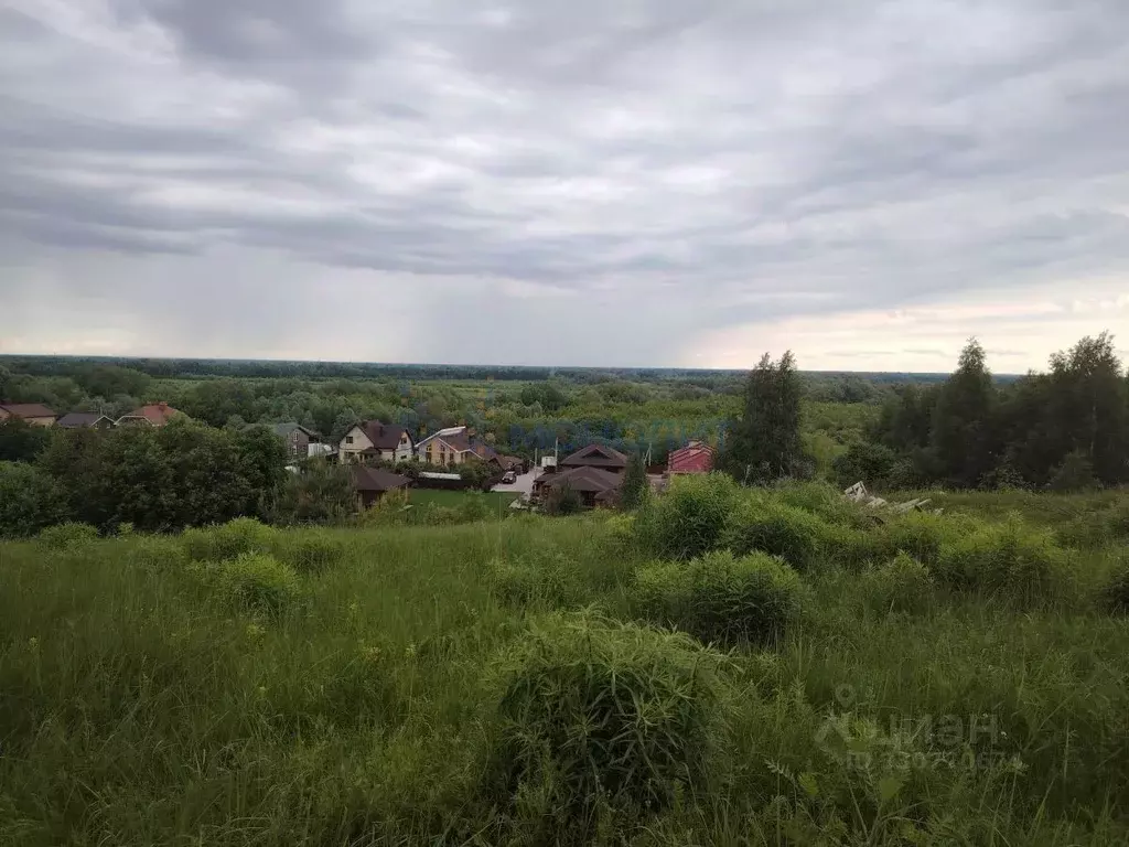 Участок в Нижегородская область, Нижний Новгород с. Большая Ельня,  ... - Фото 1