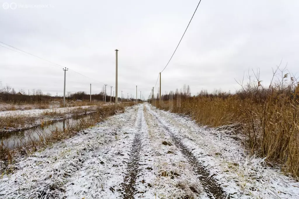 Участок в Тюмень, СНТ Большое Царёво-1 (6.87 м) - Фото 2