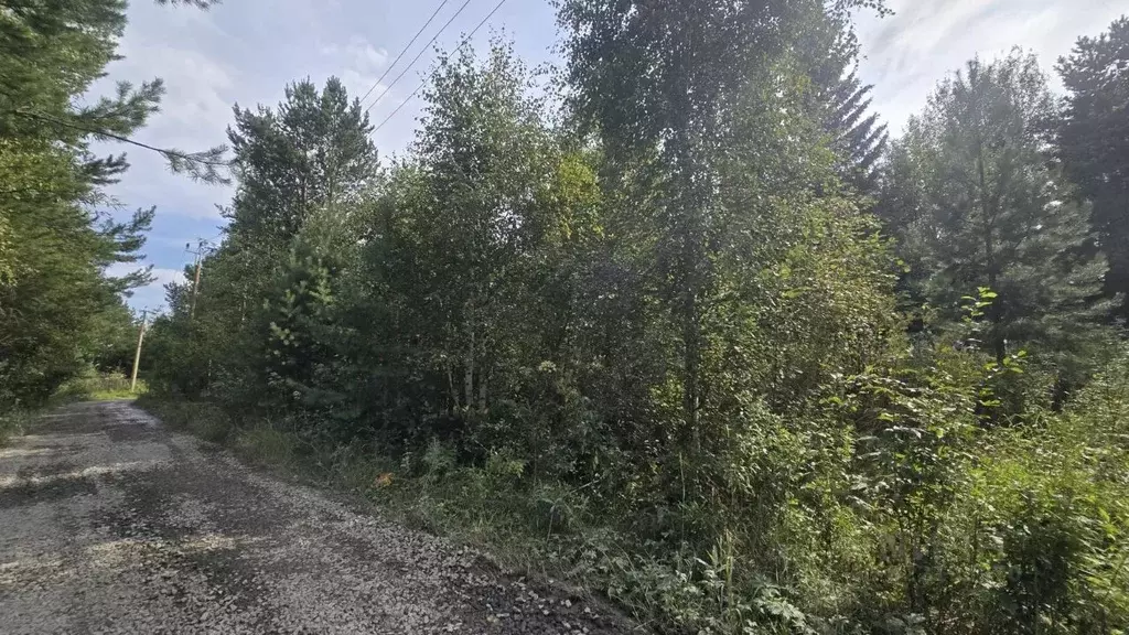 Участок в Свердловская область, Екатеринбург ул. Самородная (9.0 сот.) - Фото 1