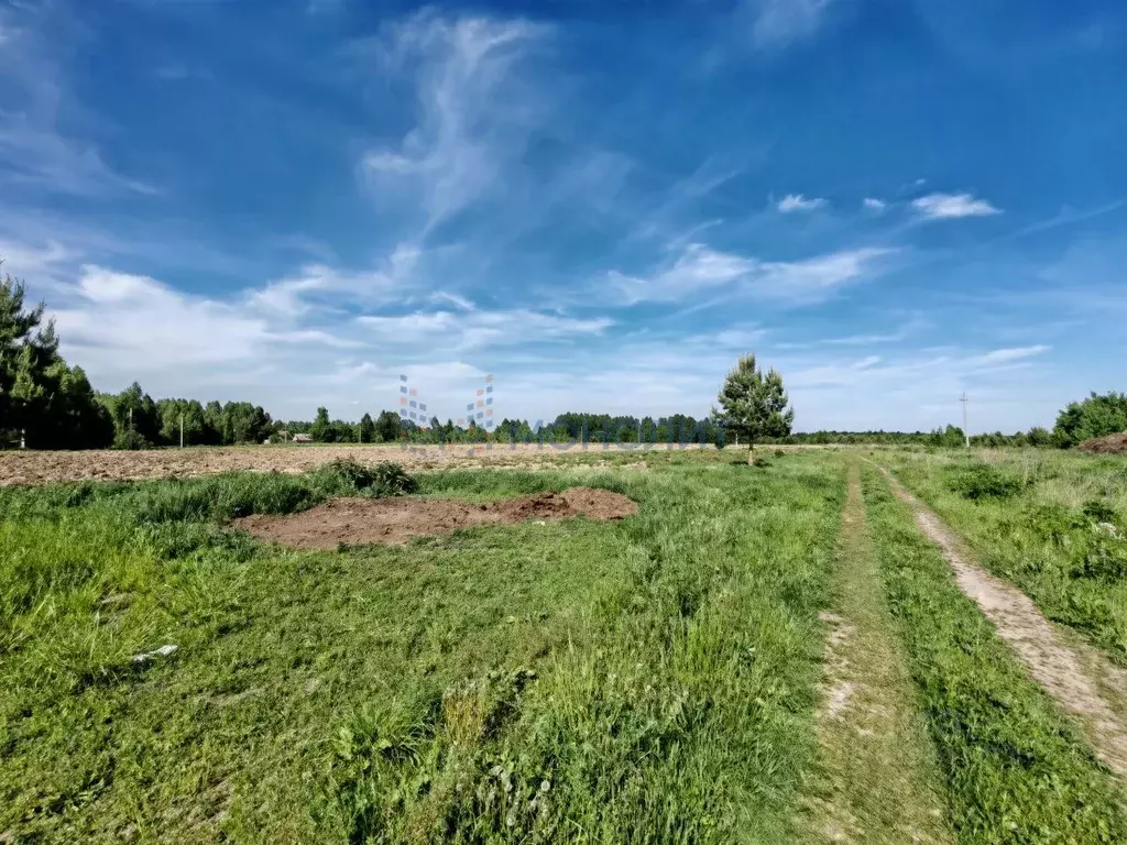 Участок в Нижегородская область, Воскресенский муниципальный округ, д. ... - Фото 1