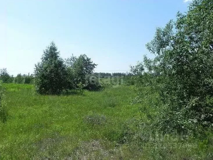 Участок в Ярославская область, Ярославский район, Кузнечихинское ... - Фото 1