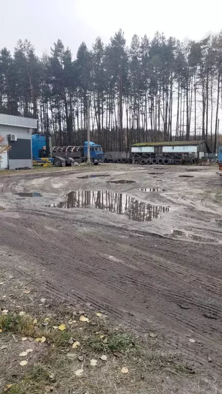 Помещение свободного назначения в Брянская область, Брянский район, ... - Фото 1