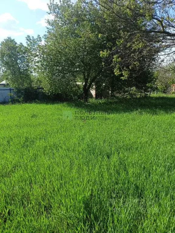 Участок в Белгородская область, Белгород Фазенда садоводческое ... - Фото 1