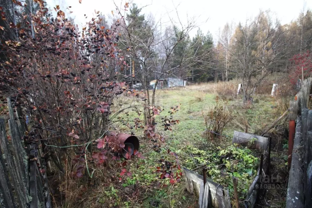 Участок в Свердловская область, Кушвинский муниципальный округ, пос. ... - Фото 1