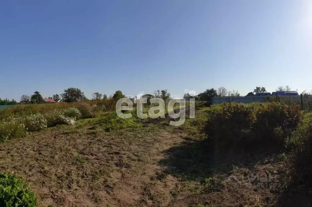 Участок в Амурская область, Благовещенск городской округ, с. Садовое ... - Фото 1