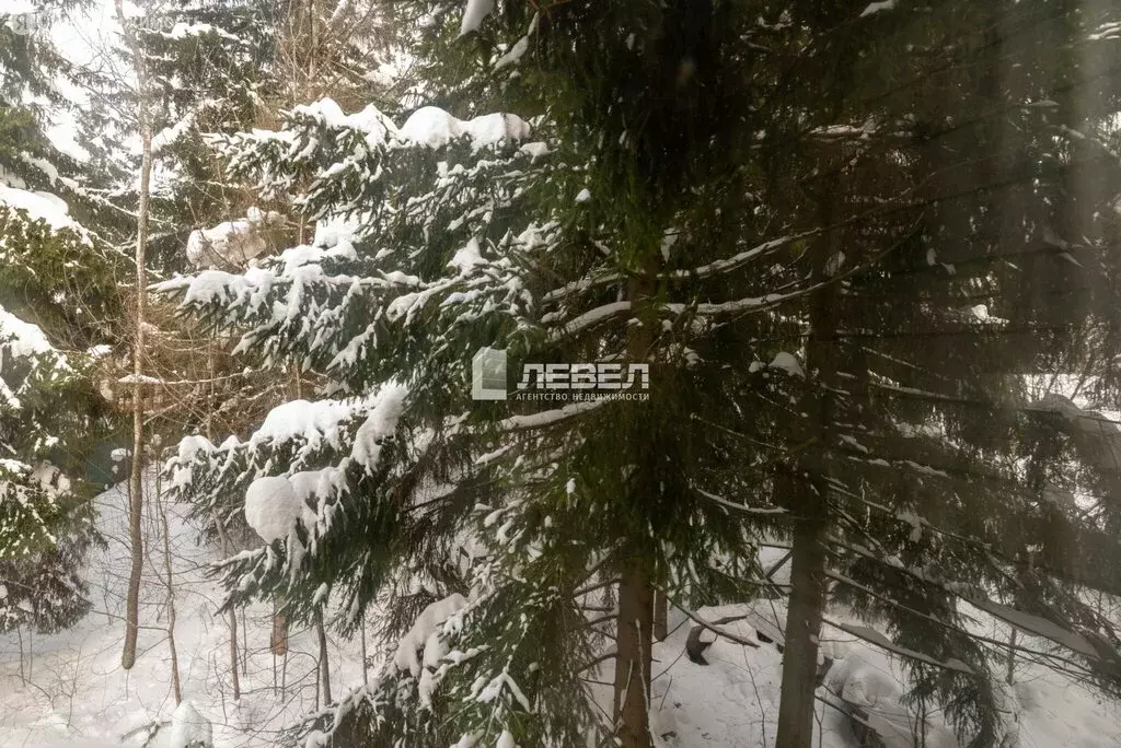 Участок в Московская область, городской округ Домодедово, ДНП Ветеран, ... - Фото 1