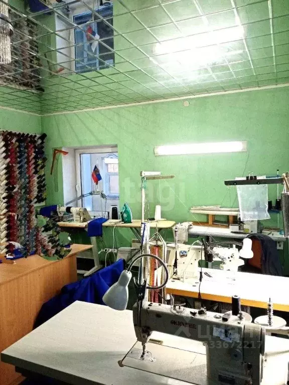 Помещение свободного назначения в Калининградская область, Черняховск ... - Фото 1