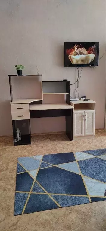 Студия Омская область, Омск просп. Мира, 9/2 (25.0 м) - Фото 2