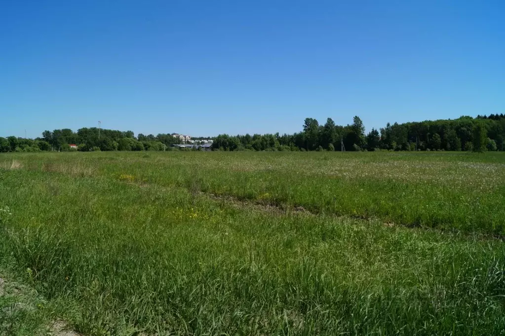 Участок в Московская область, Одинцовский городской округ, д. ... - Фото 0