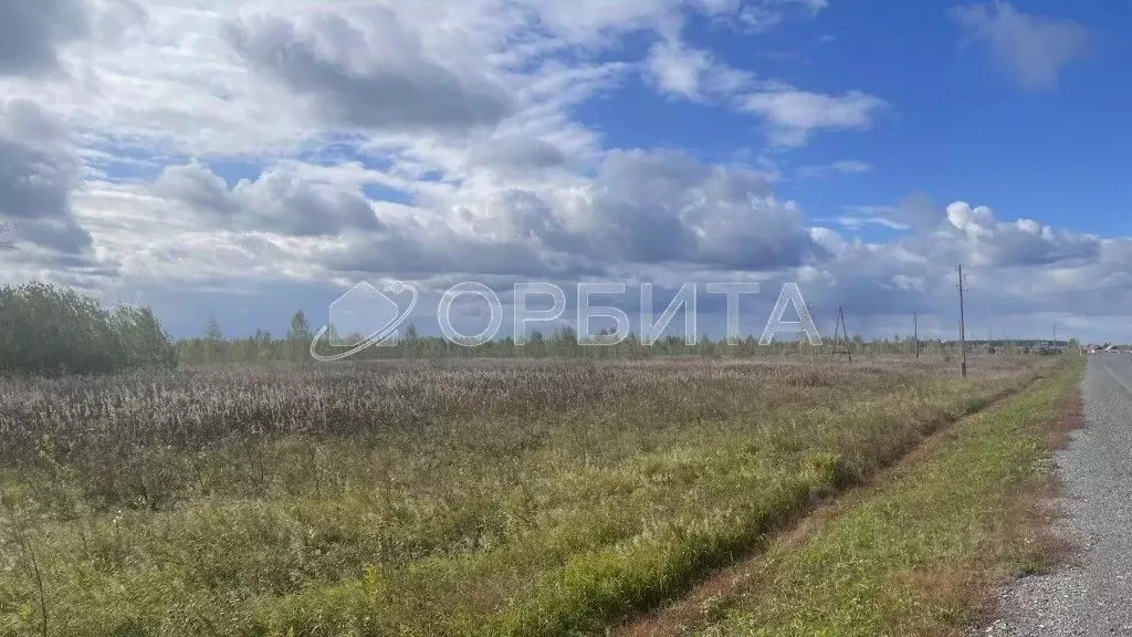 Участок в Свердловская область, Слободо-Туринский район, ... - Фото 1