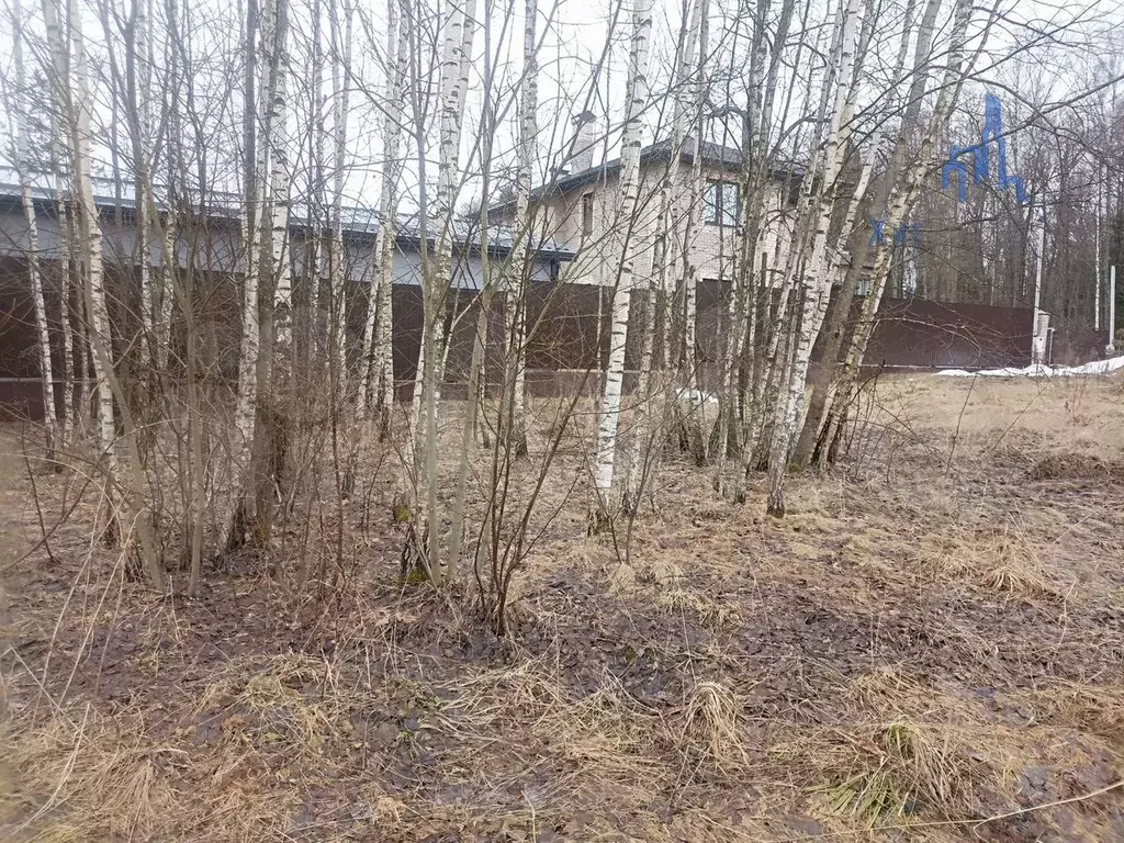 Участок 9,9 сот. (ИЖС) - Фото 1